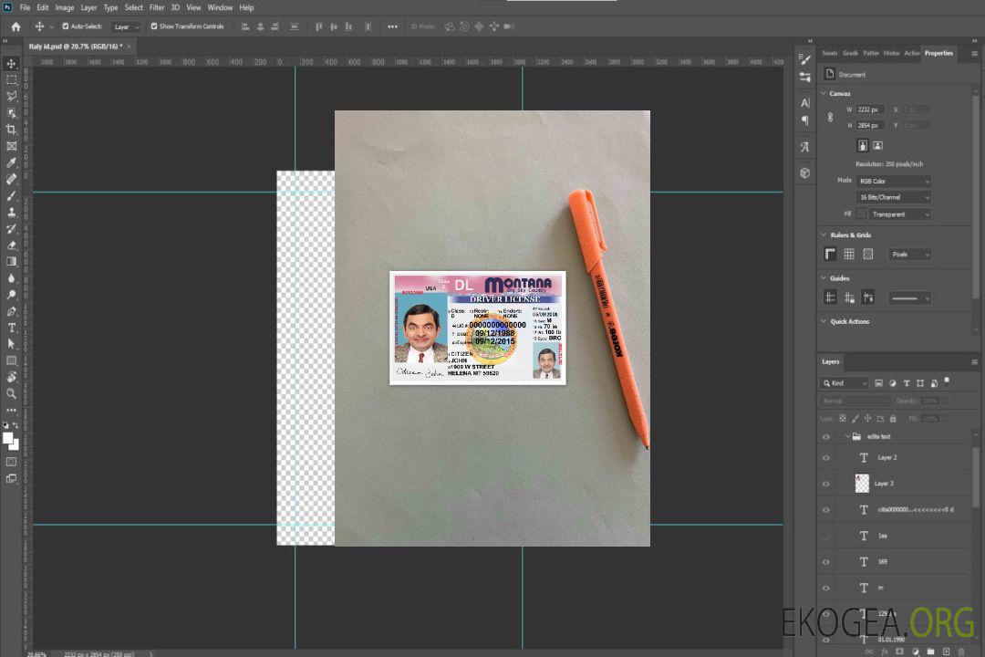 Permis de conduire USA Montana version 2 photolook AVANT template Permis de conduire USA Montana version 2 photolook AVANT template